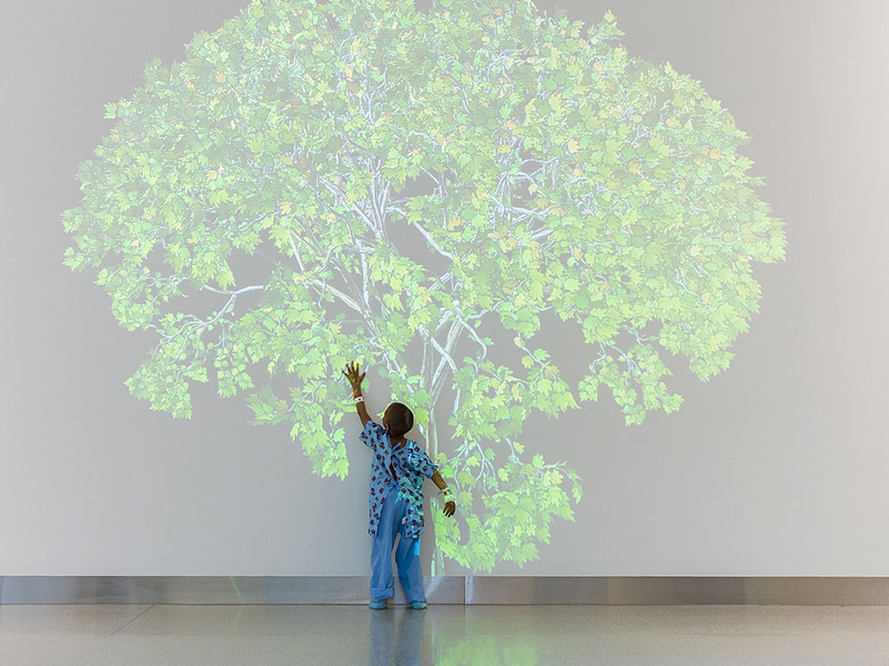 A photograph of a young patient touching a projection of a tree on a wall.